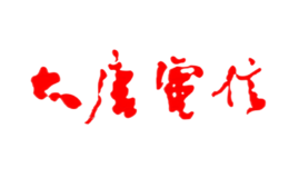 大唐電信科技產業控股有限公司